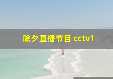 除夕直播节目 cctv1